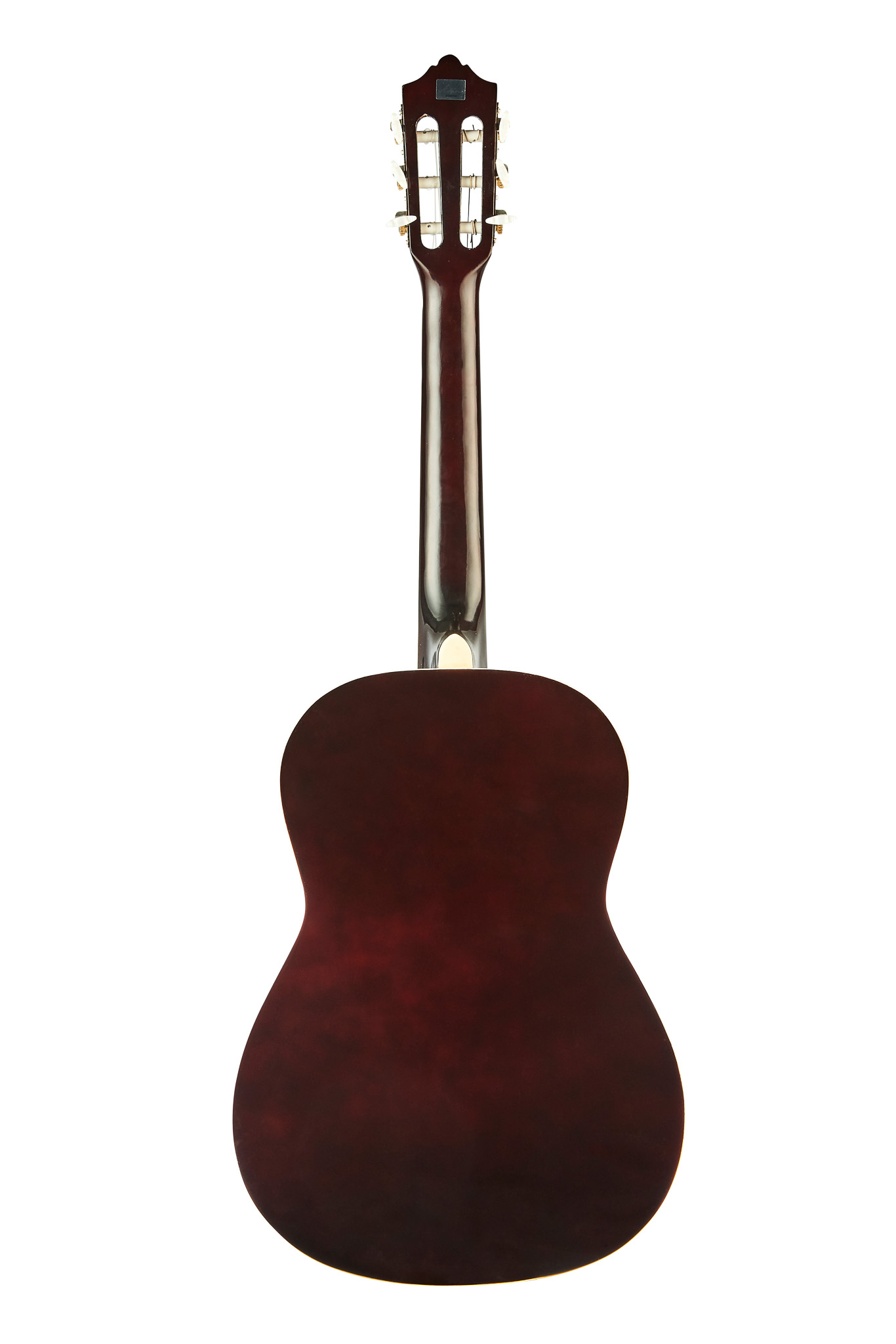 Molina SPCG 44 BR Spruce Top