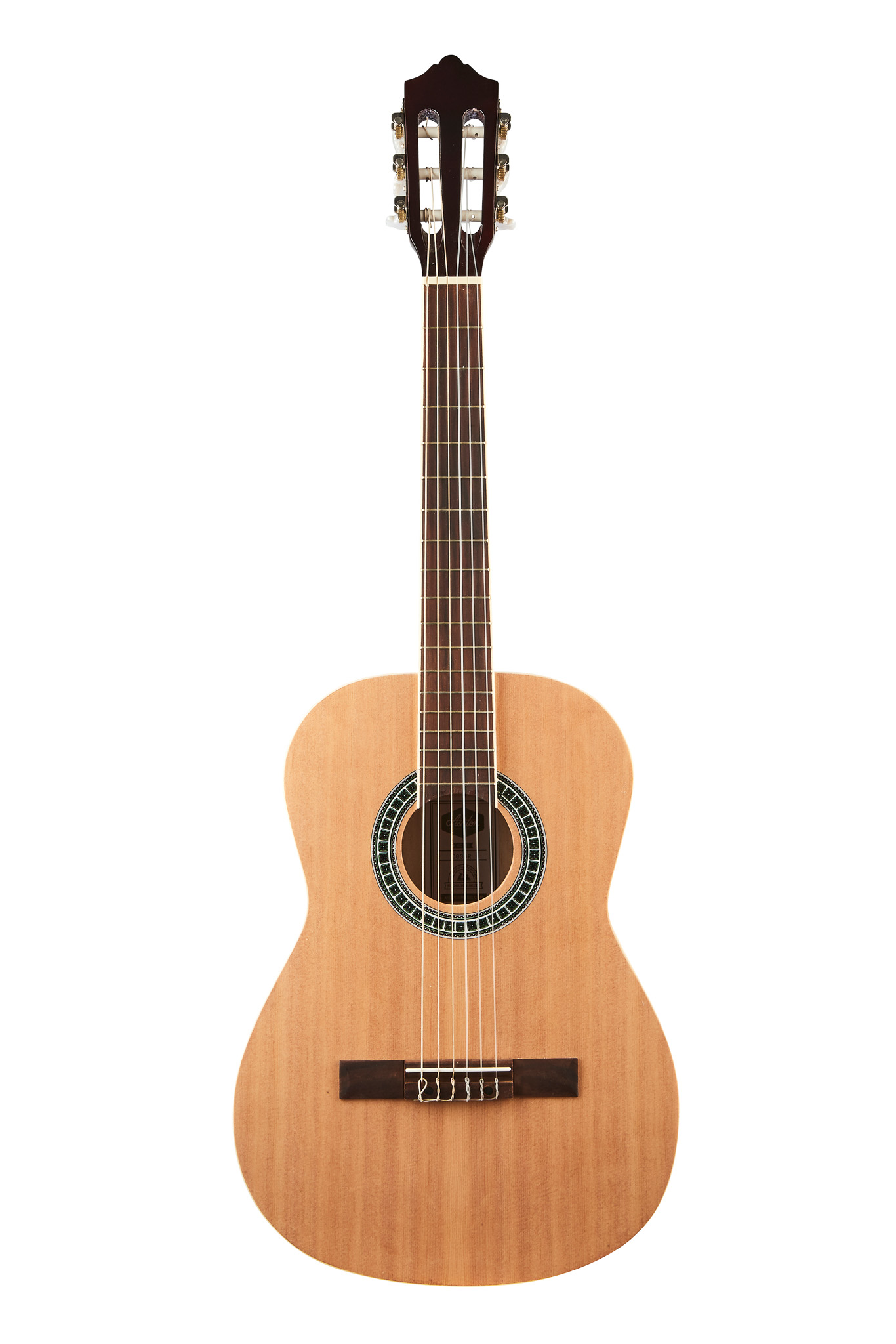 Molina SPCG 44 BR Spruce Top